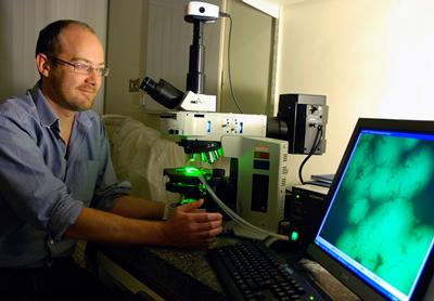 Researchers receive prestigious grant to design vaccines for pneumonia and meningitis